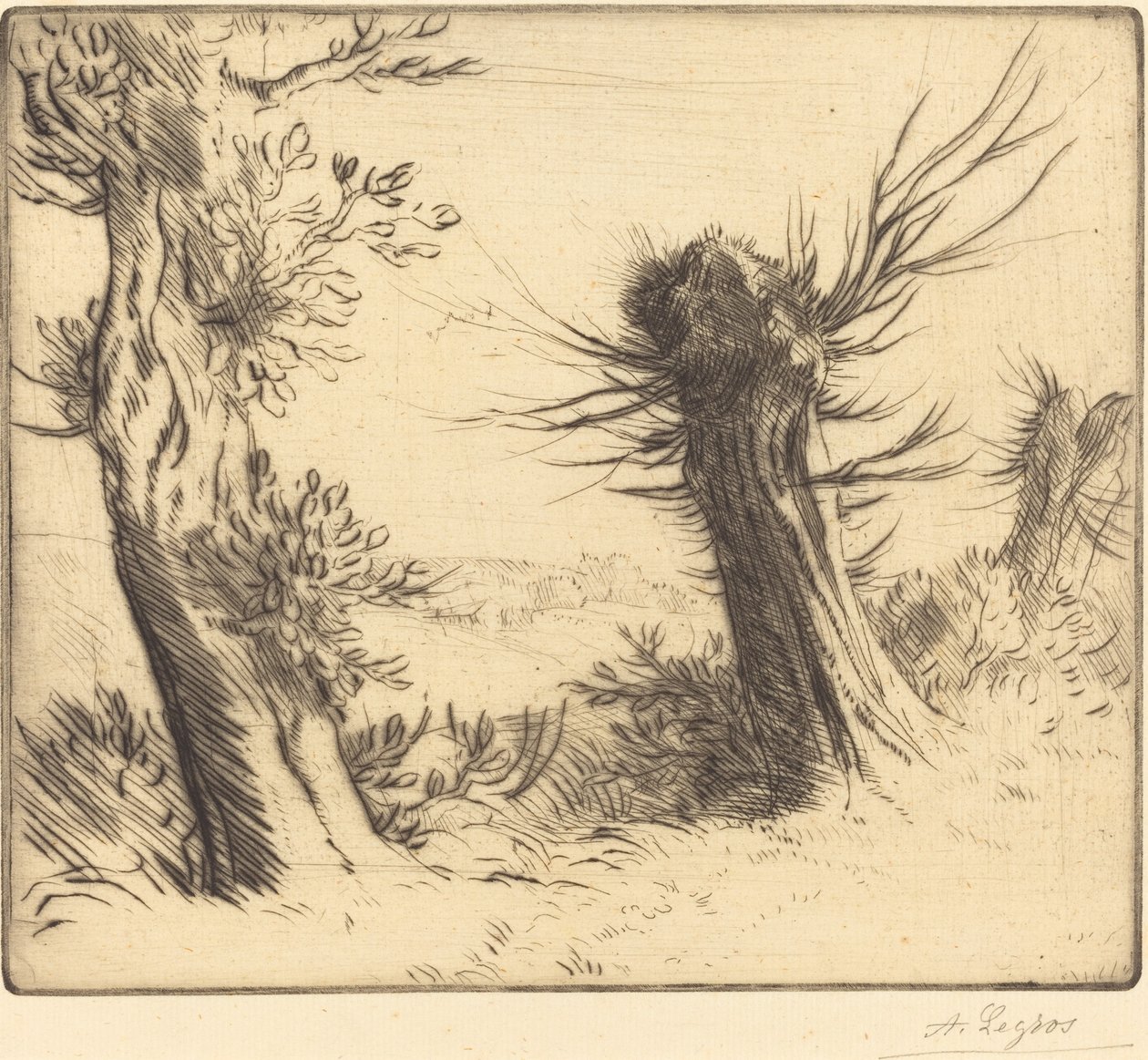Willows Les saules. alkotó: Alphonse Legros
