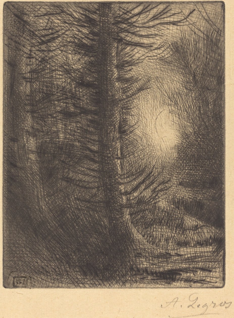 Woods in Winter Sun, 1. lemez alkotó: Alphonse Legros