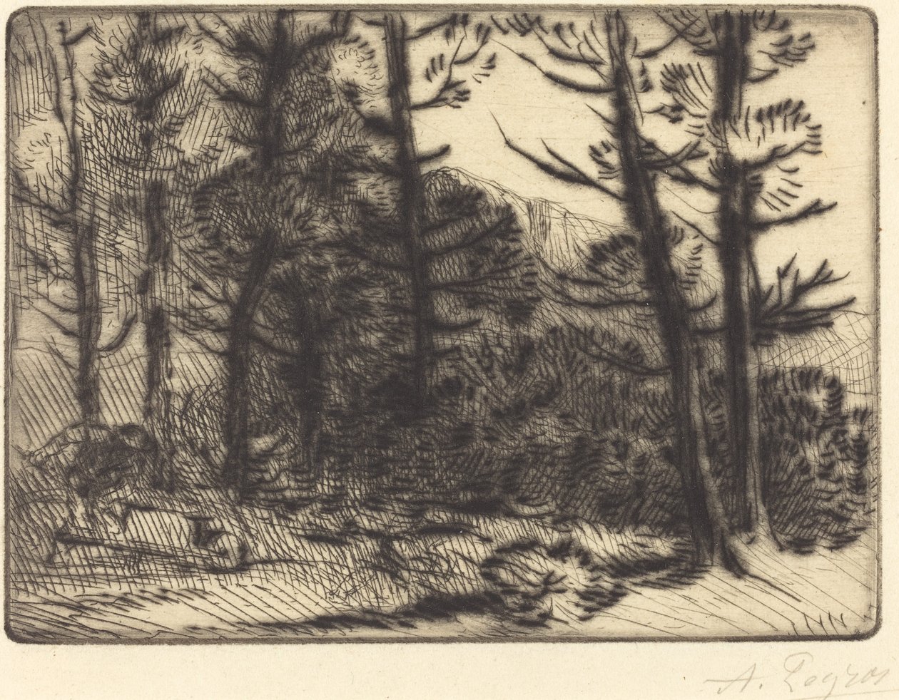 Woods in Winter Sun, 2. lemez alkotó: Alphonse Legros