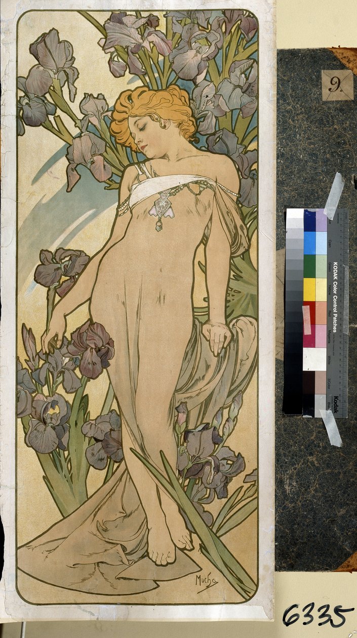 Írisz (a virágsorozat része). Alfons Maria Mucha alkotása (Alphonse Marie Mucha alkotó: Alphonse Marie Mucha