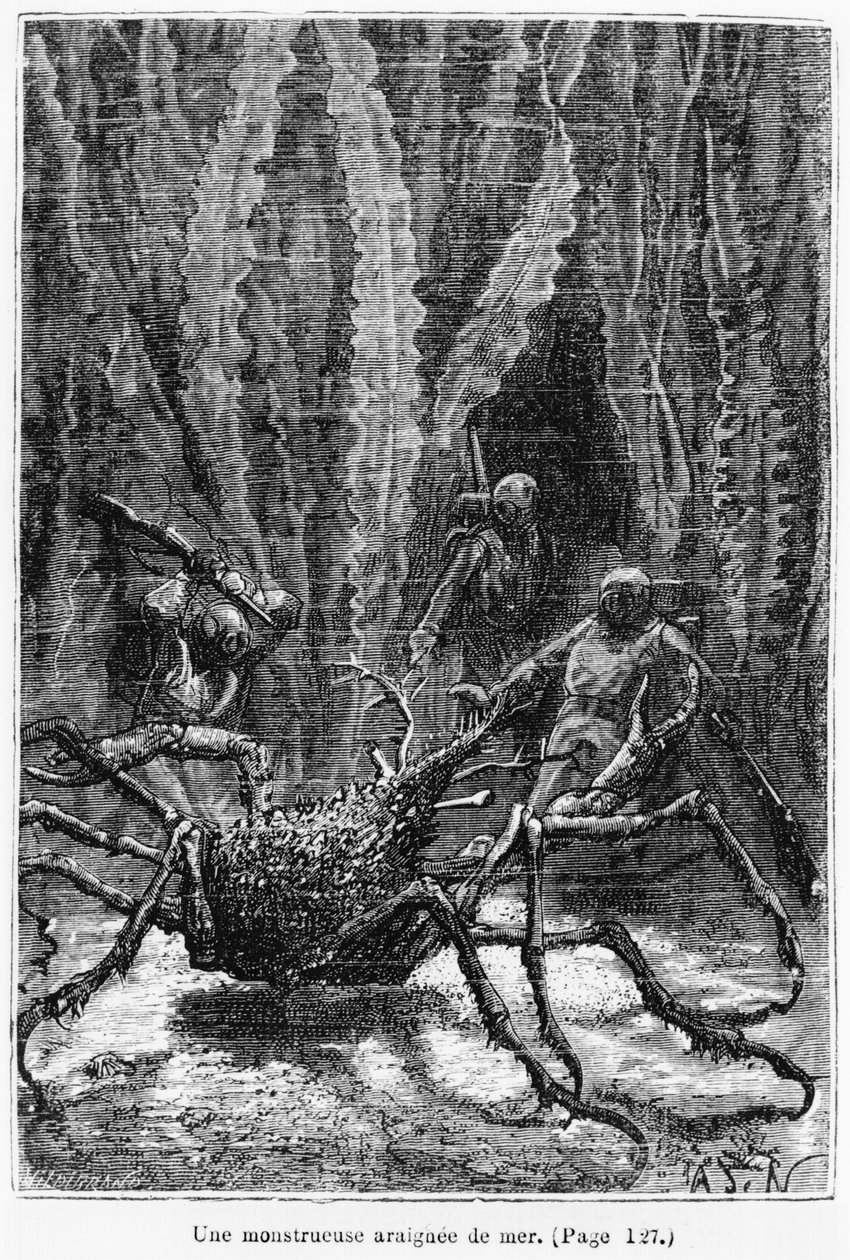 Pókrák, illusztráció Jules Verne (1828-1905) „20 000 liga a tenger alatt” című művéből, Henri Theophile Hildibrand (1824-97) metszete, Párizs, Hetzel, 1877. alkotó: Alphonse Marie de Neuville