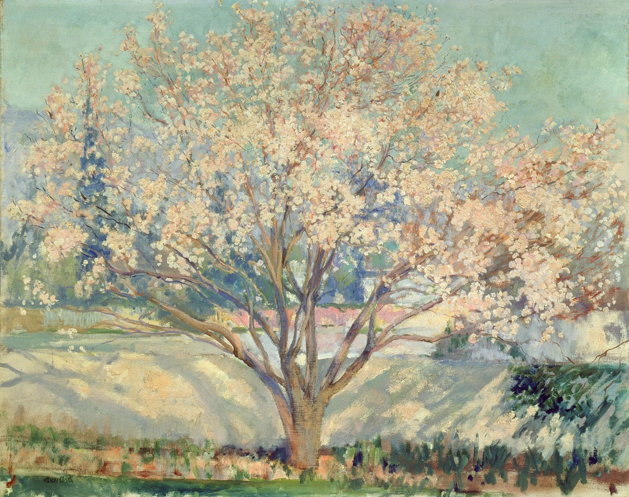 Mandulafa virágban (olaj, vászon) alkotó: Alson Skinner Clark
