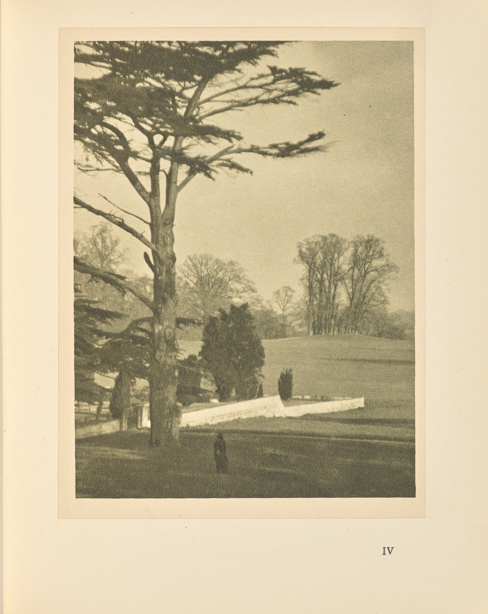 A kert széle alkotó: Alvin Langdon Coburn