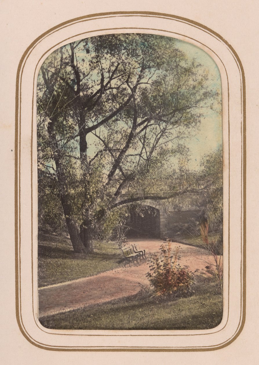 Carte-de-visite album a Central Park kilátásairól, 1860-as évek. alkotó: Ambrose Jackson