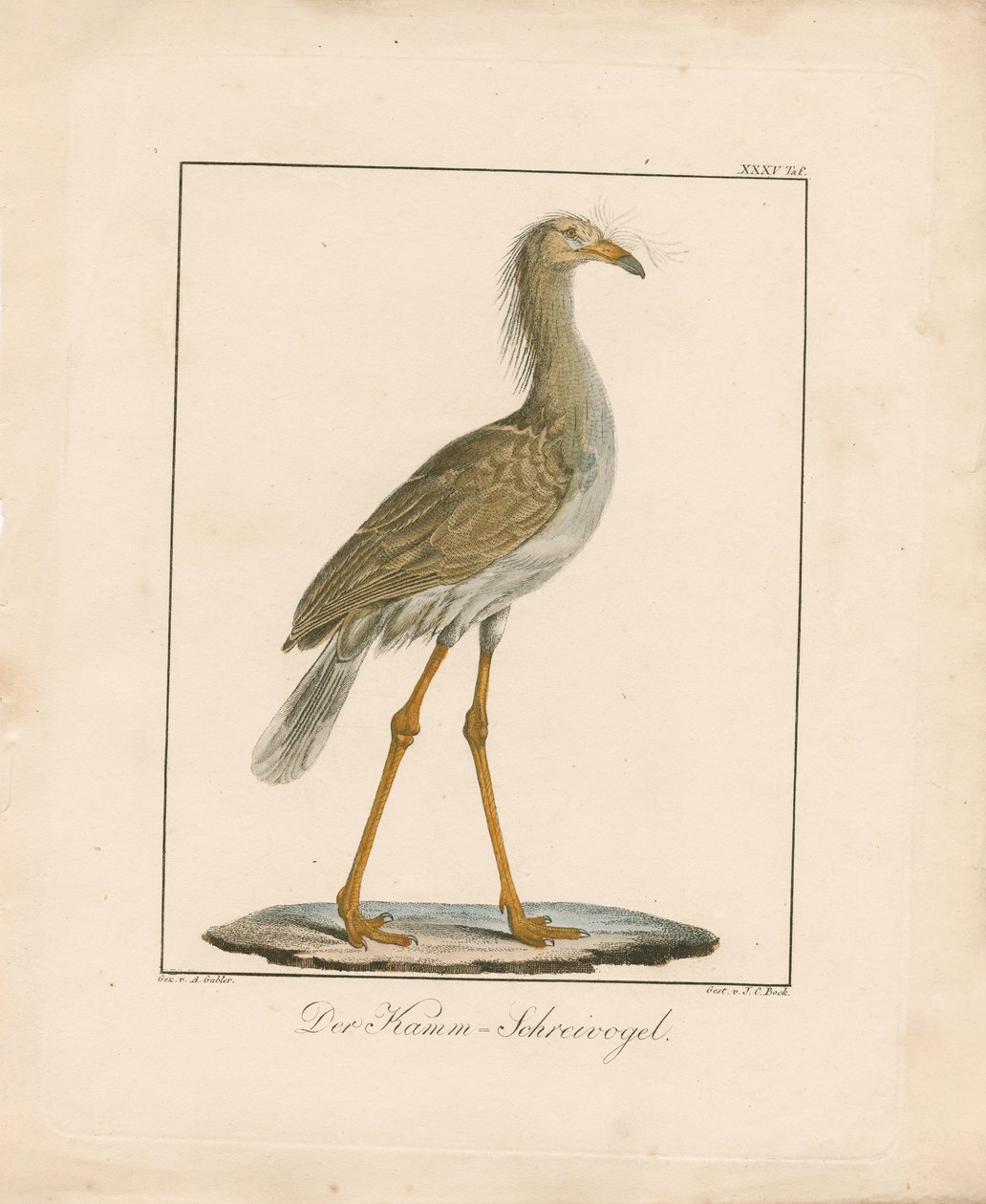  alkotó: Ambrosius Gabler