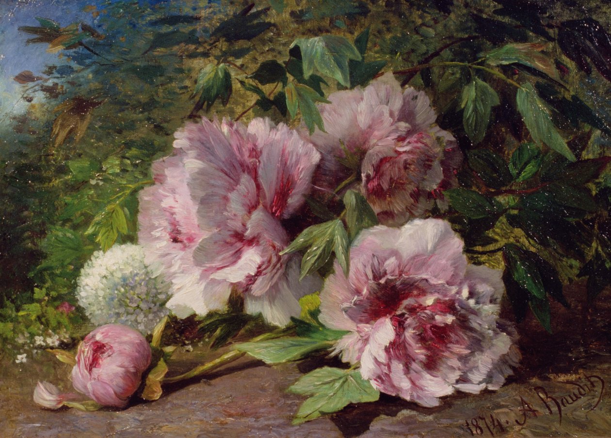 Tanulmány a bazsarózsáról, 1874 alkotó: Amedee Baudit