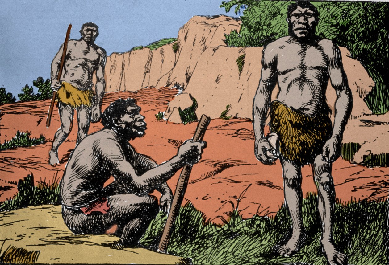 Őstörténet: a Homo rhodesiensis vagy a Broken Hill emberének ábrázolása, a Homo sapiens őse, akinek kövületeit Rodéziában (a mai Zambia Afrikában) fedezték fel. A. Forestier rajza. DR alkotó: Amedee Forestier