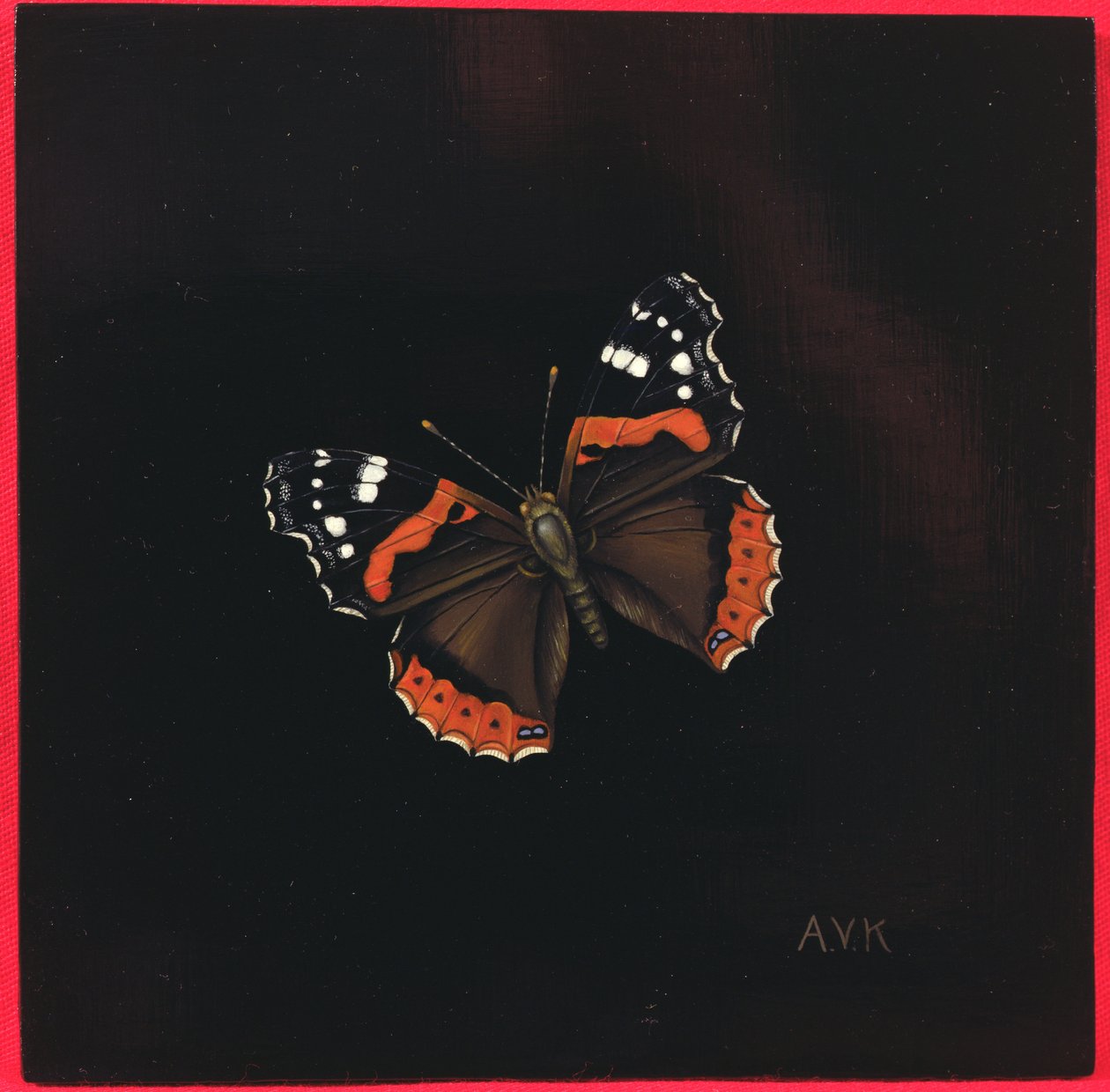 Vörös admirális pillangó, 2001 alkotó: Amelia Kleiser