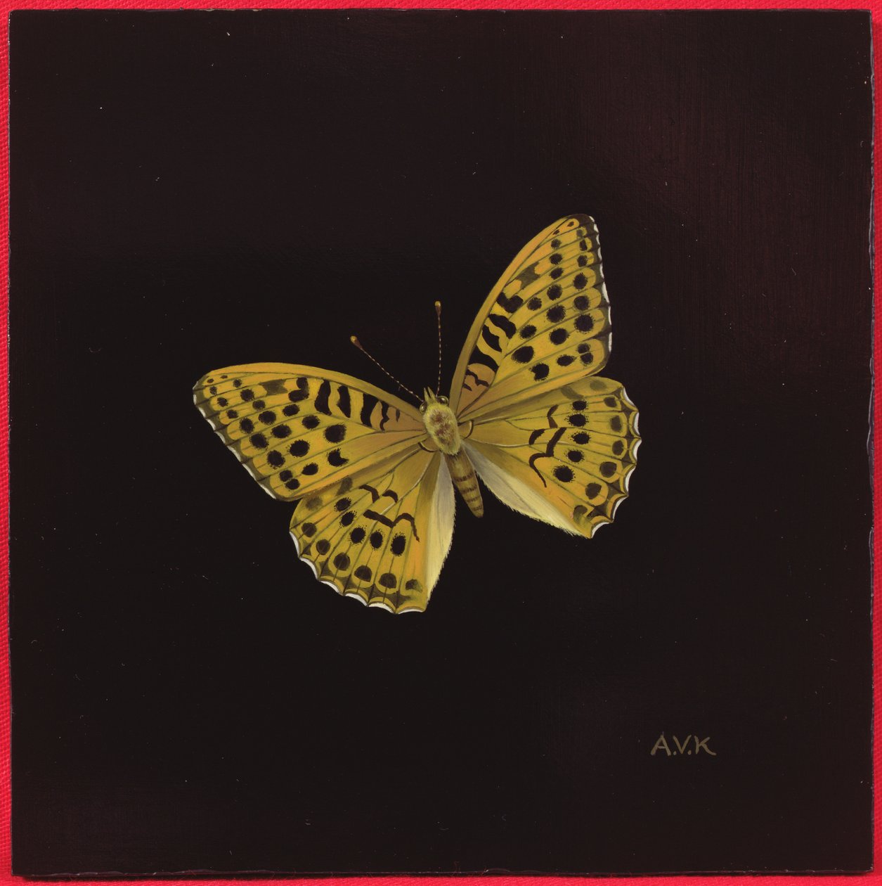 Ezüstre mosott fritriller pillangó, 2000 alkotó: Amelia Kleiser
