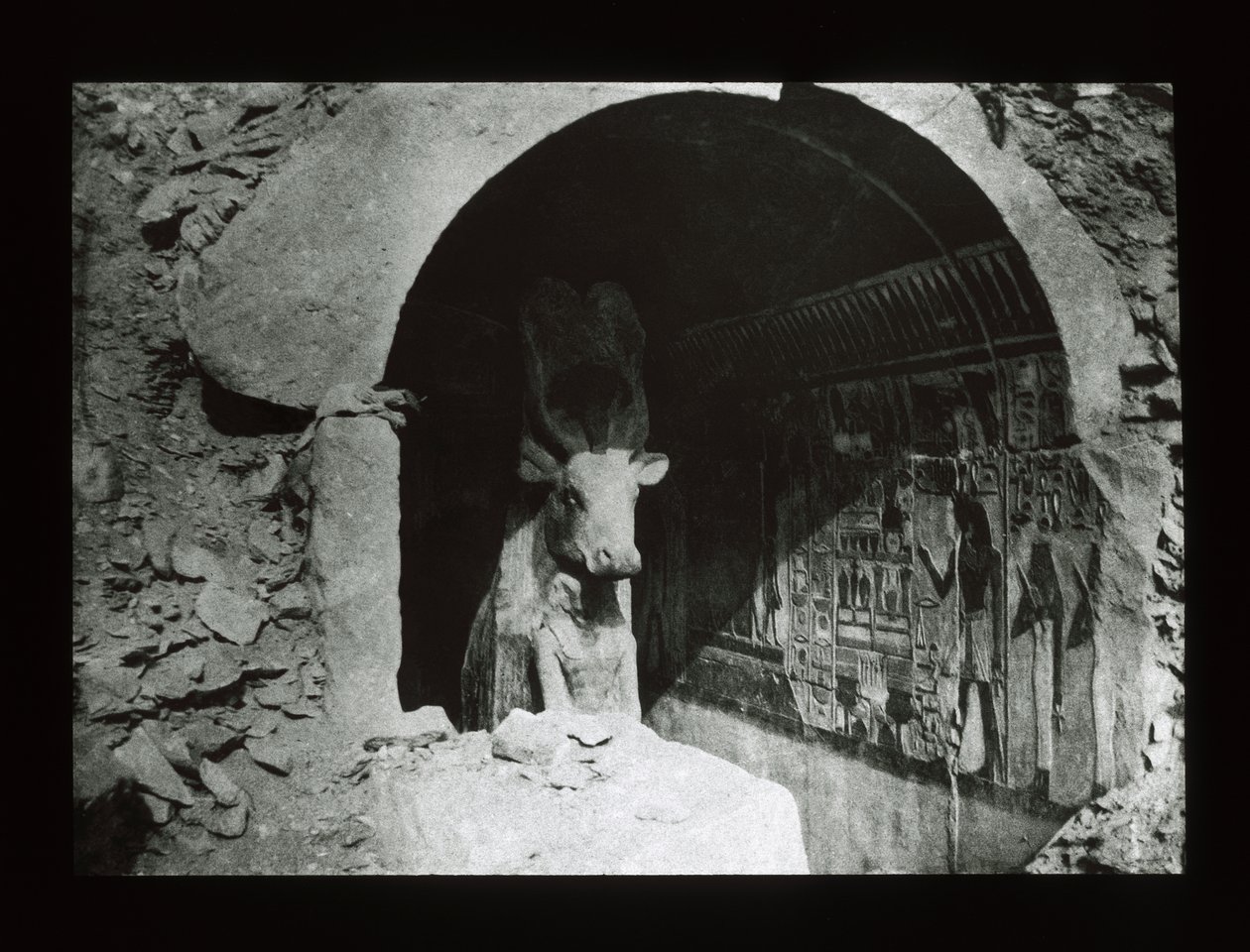 Hathor tehén a 18. dinasztia szentélyében, Deir El-Bahri (lámpás csúszda) alkotó: American Photographer