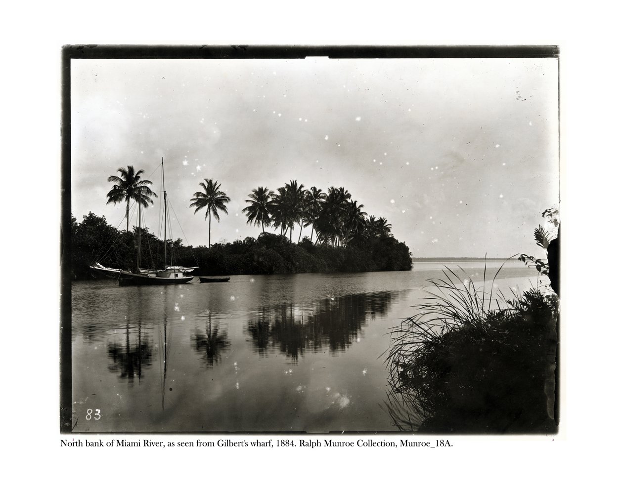 A Miami folyó északi partja, a Ghilberts Wharfból nézve, 1884 alkotó: American Photographer