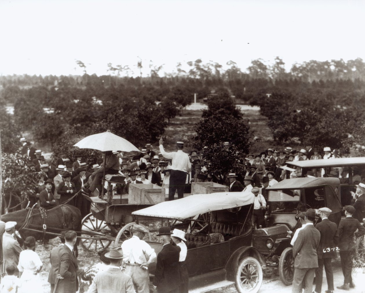 Telek eladása Coral Gablesben, 1920. december 13 alkotó: American Photographer