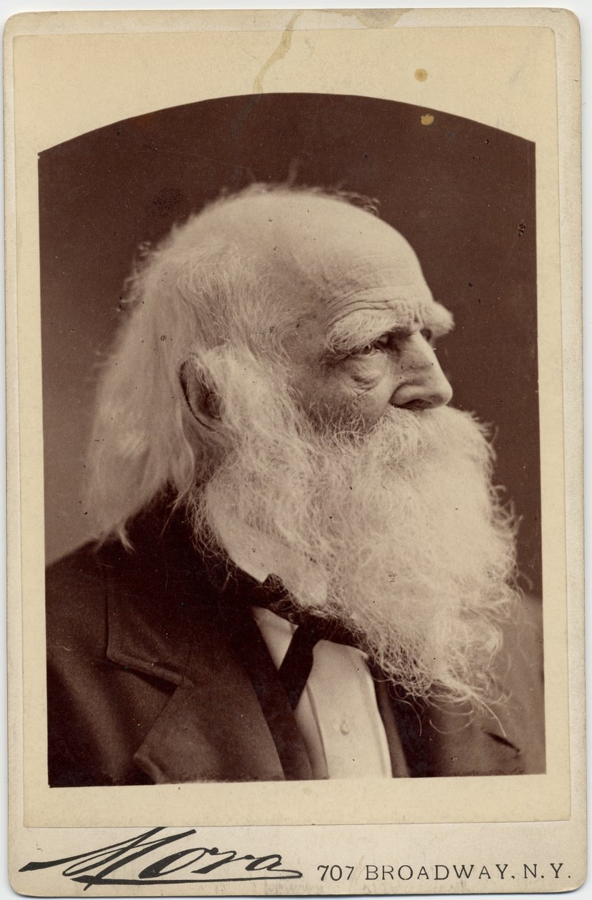 William Cullen Bryant (1794-1878), amerikai költő, fotó: Albert J Mora, New York (album fotó) alkotó: American Photographer
