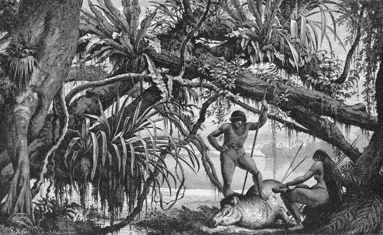 Caripuna indiánok tapírral, az Amazonas és Madeira folyóból, Franz Keller, 1874 alkotó: American School
