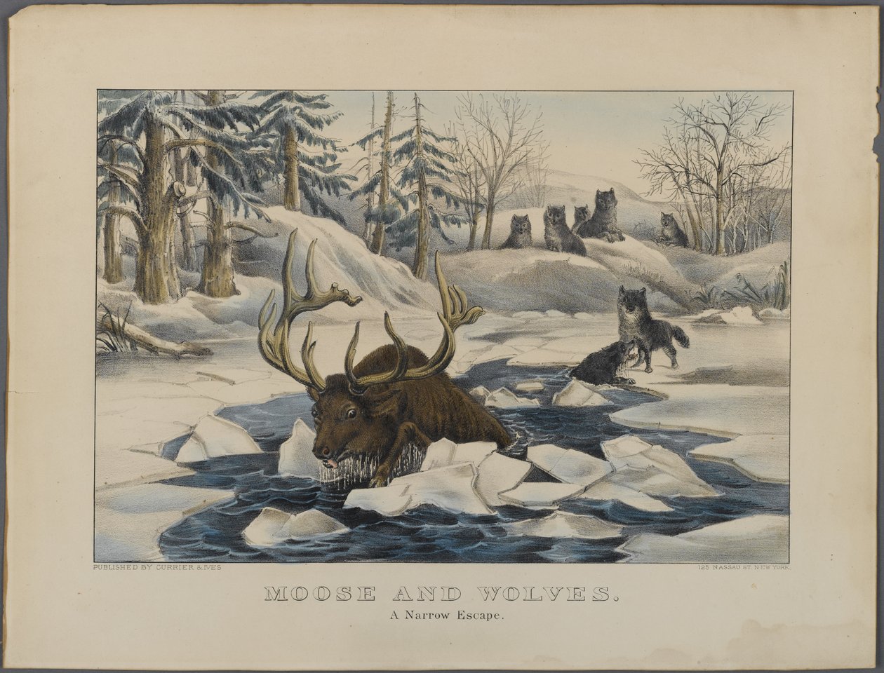 Moose and Wolves, A Narrow Escape, kiadó: Currier & Ives, New York (kézzel színezett litho) alkotó: American School