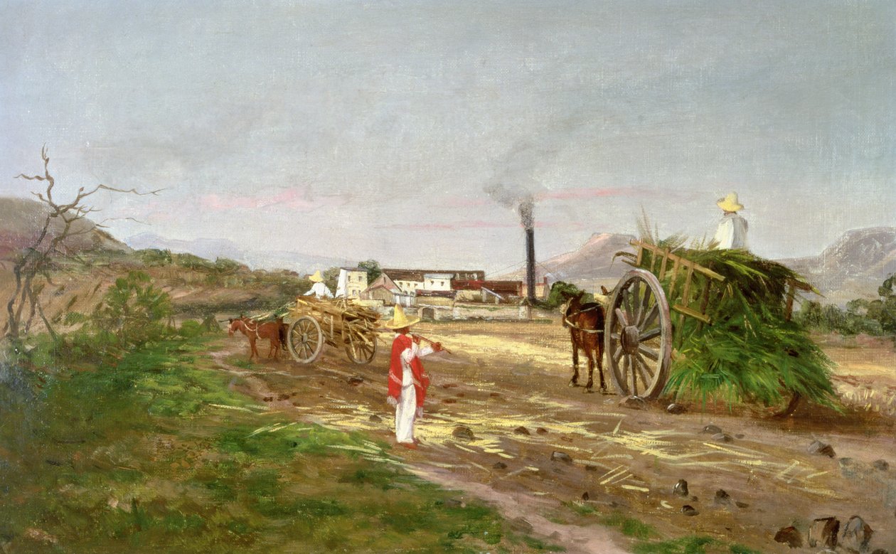 Parasztok cukornádat gyűjtenek, Közép-Amerika, 1840 körül alkotó: American School