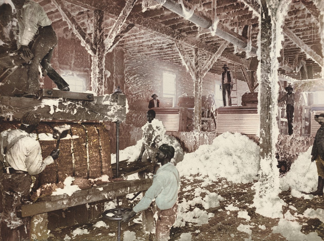 Mississippi Cotton Gin Dahomeyben alkotó: American 19th Century, Detroit Photographic Company