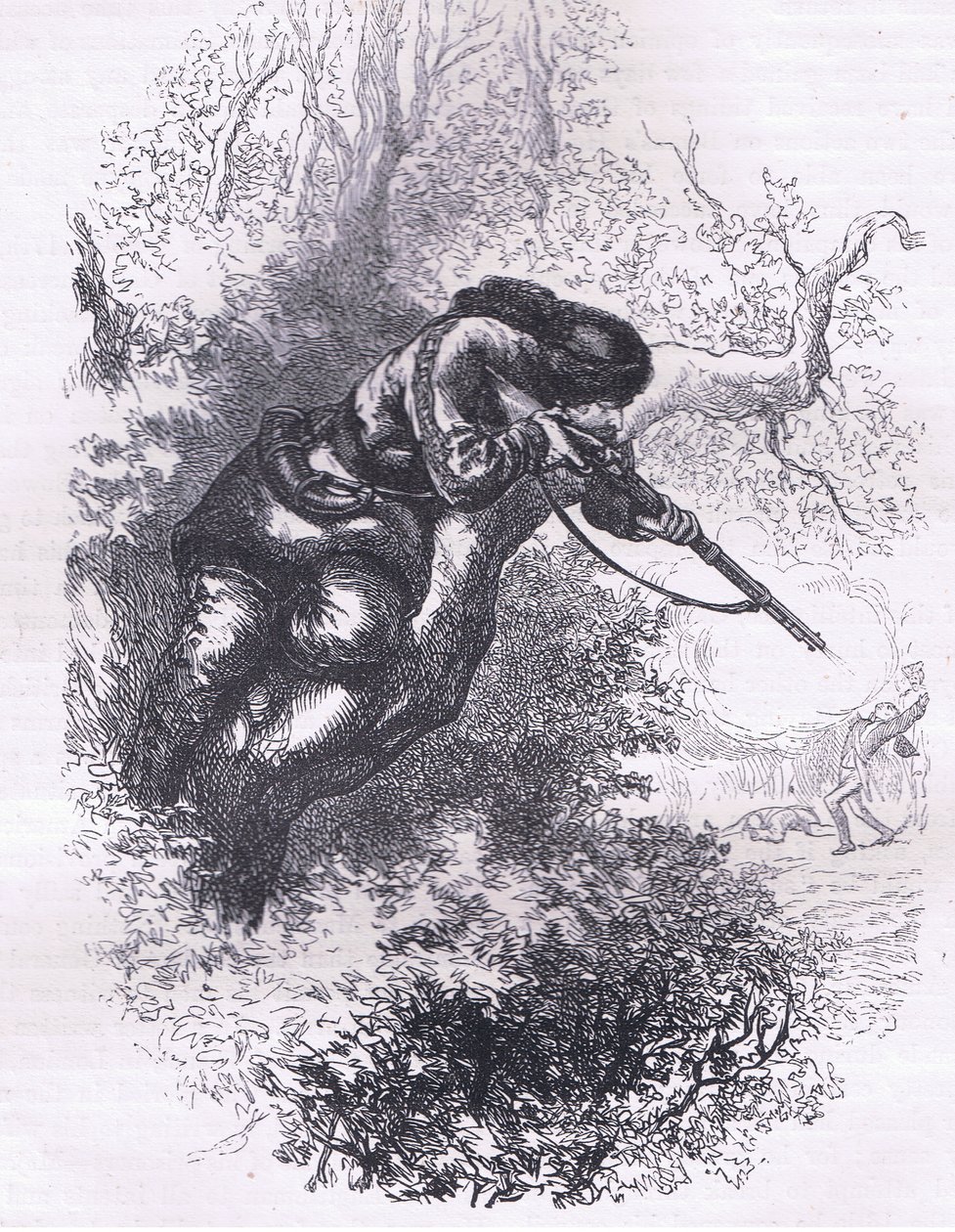 Amerikai lövész fel a fára, illusztráció az Egyesült Államok Cassells History-jából, kiadó: Cassell, Petter & Galpin, 1900 körül (litho) alkotó: American English school