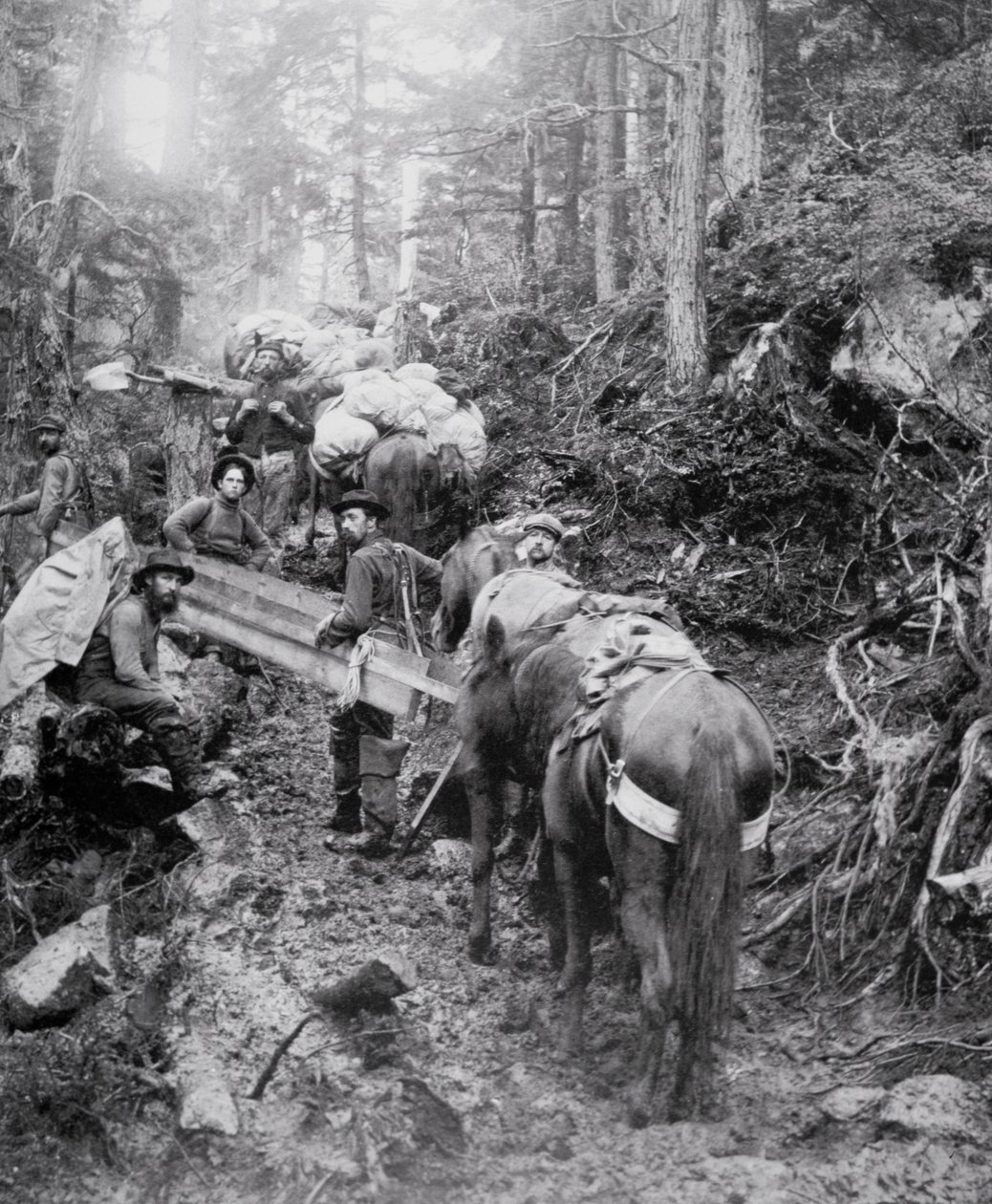 A Dyea-ösvény megmászása a Chilkoot-hágó felé vezető úton a Klondike-i aranyláz idején (1897-98) (f/w fotó) alkotó: American Photographer