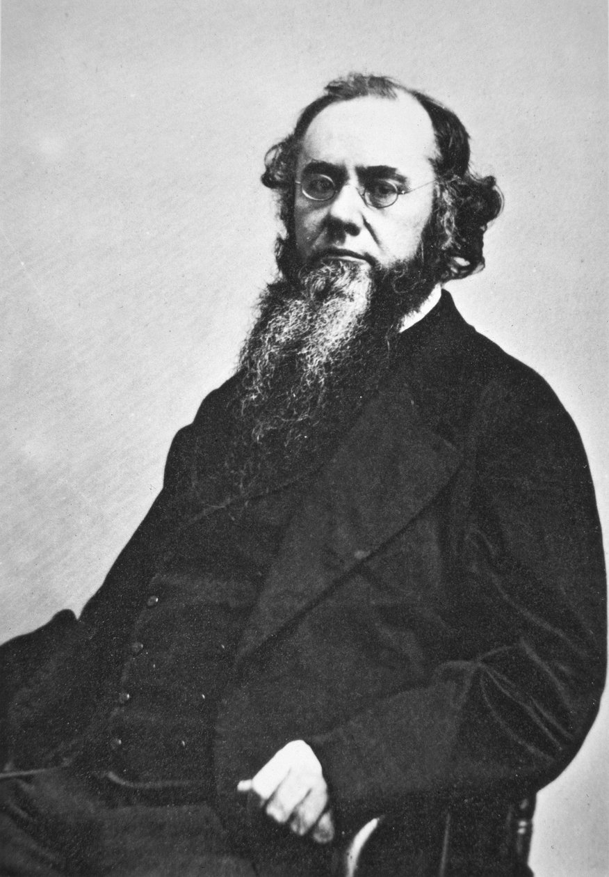 Edwin M. Stanton (1814-69) (f/w fotó) alkotó: American Photographer