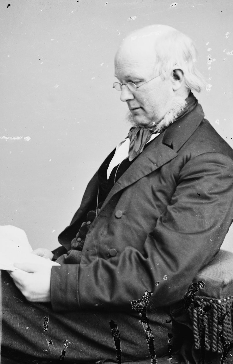 Horace Greeley, 1855-65 alkotó: American Photographer