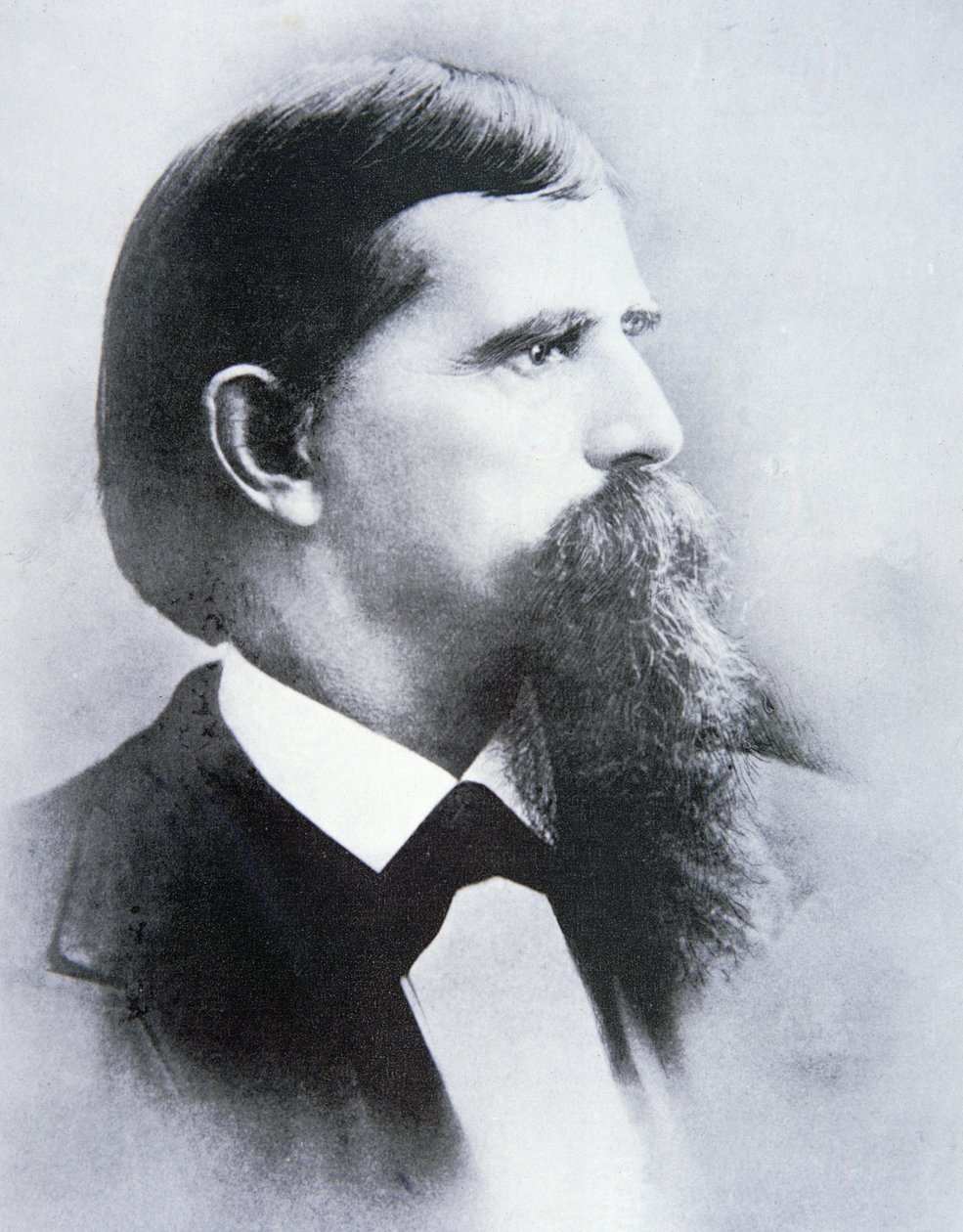 Lewis 