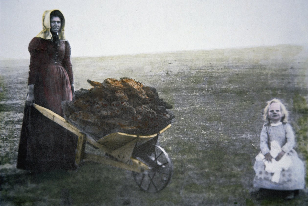 Úttörő nő szarvasmarha trágyát gyűjt, Kansas, 1880 körül (színes fotó) alkotó: American Photographer