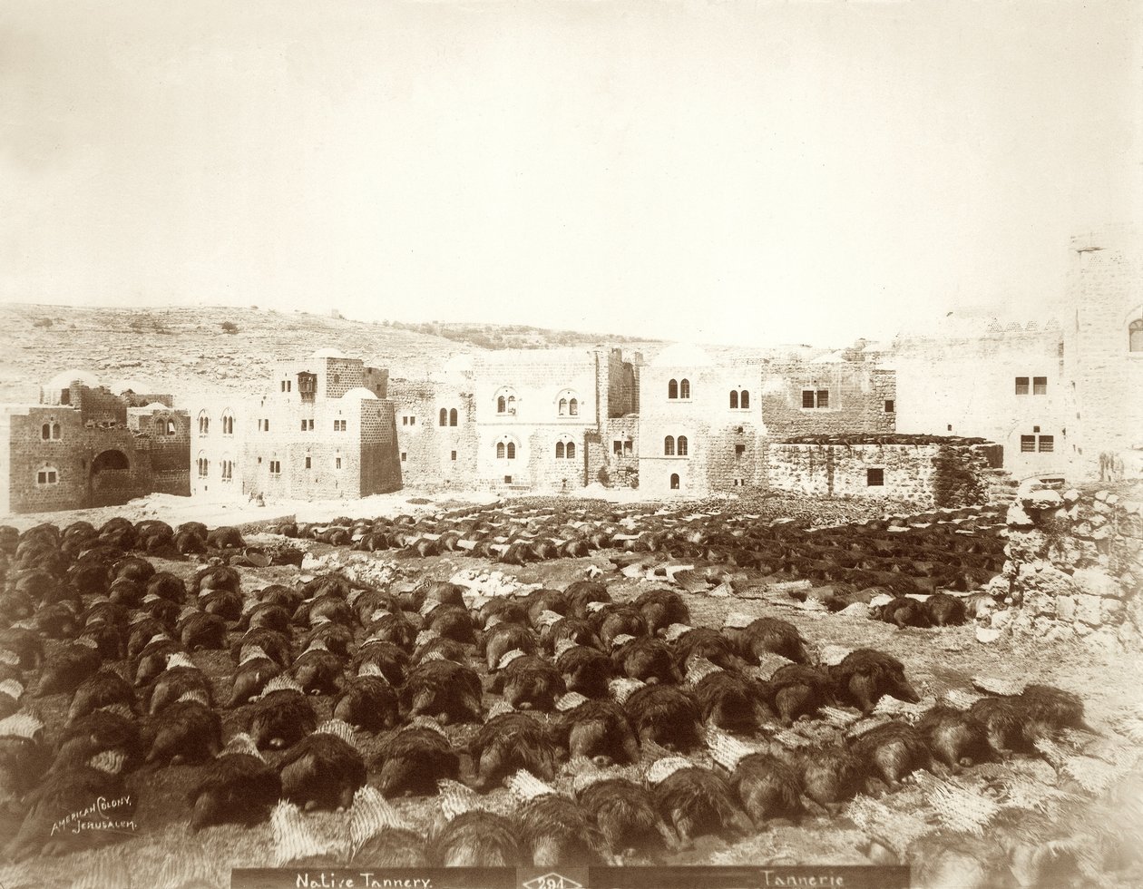 Bőrgyár Hebronban az előtérben kirakott bőrökkel, 1898-1911 alkotó: American Photographer