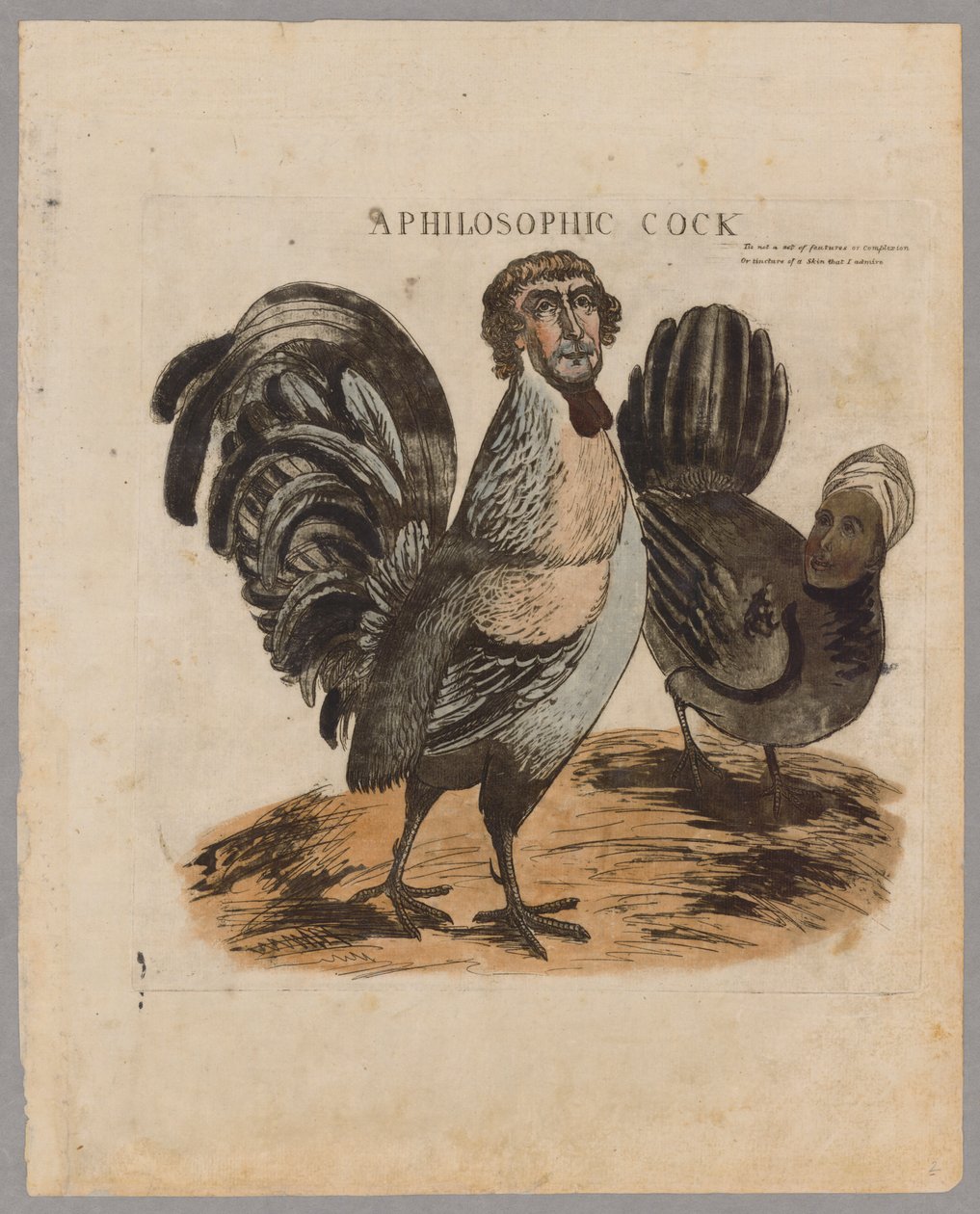Egy filozófiai kakas, 1804 alkotó: American School
