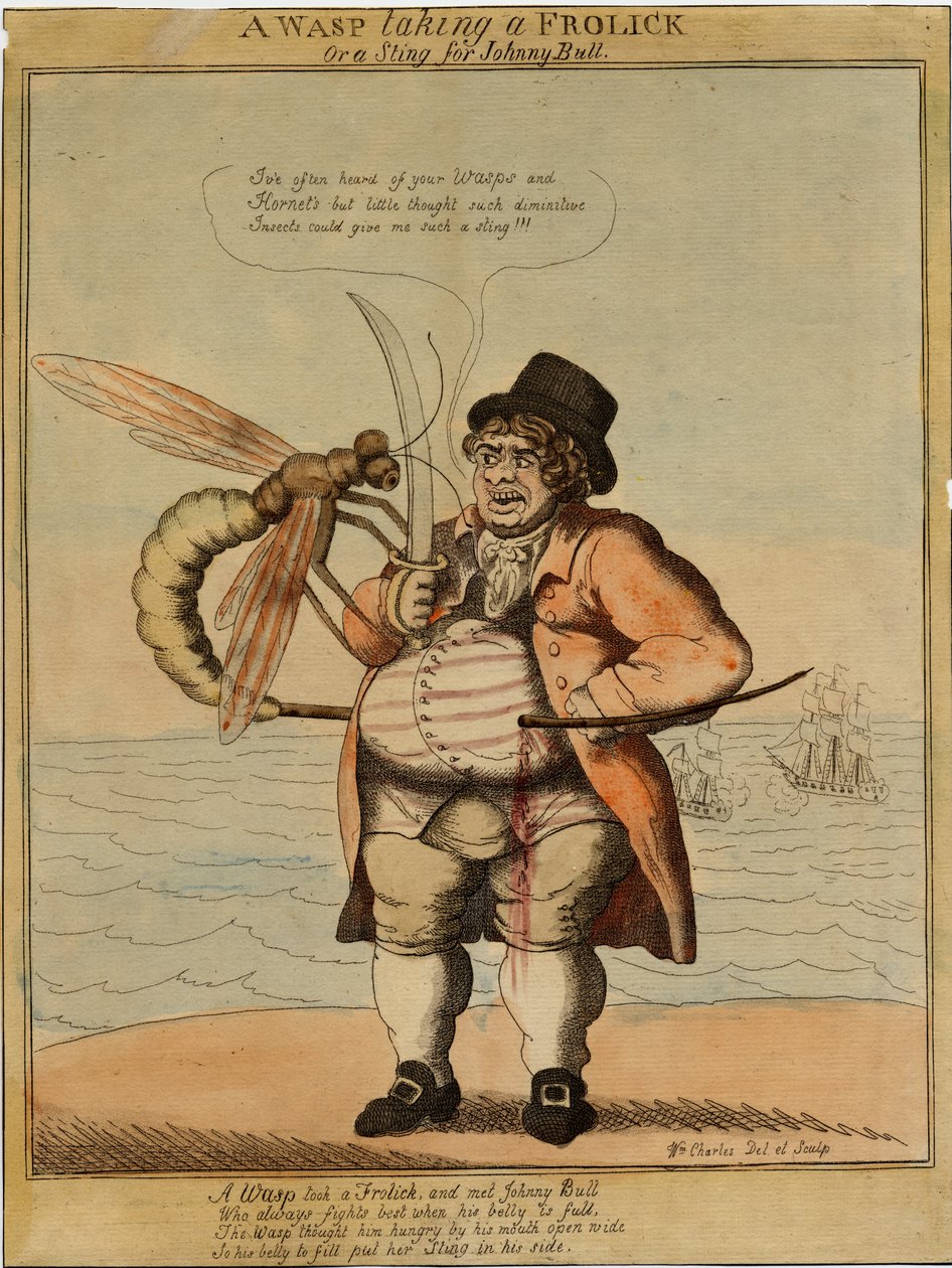 Egy darázs, 1813 (kézzel színezett rézkarc) alkotó: American School
