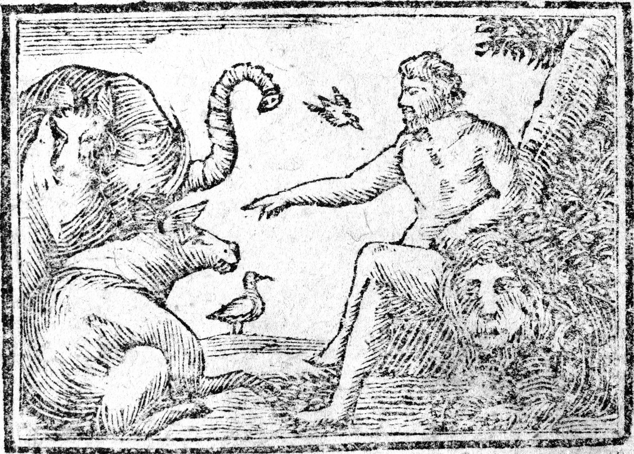Ádám elnevezte az állatokat, illusztráció az 1794-ben megjelent An Aridgement of the Holy Biblia történetéből alkotó: American School