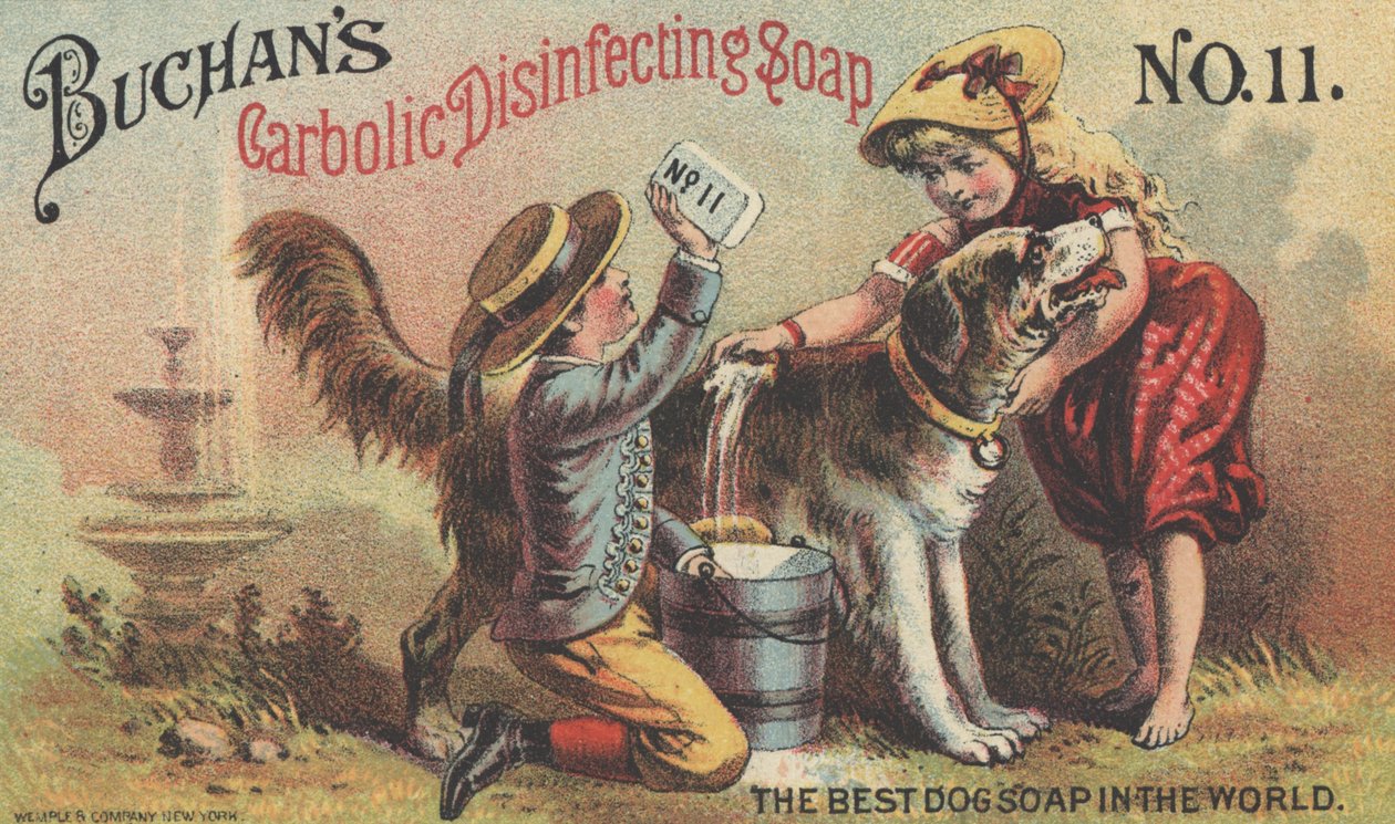 A Buchans Carbolic fertőtlenítő szappan hirdetése 11. sz., 1880 körül alkotó: American School