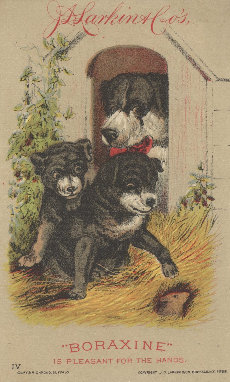 J. D. Larkin és Cos Boraxine reklámja, 1882 alkotó: American School