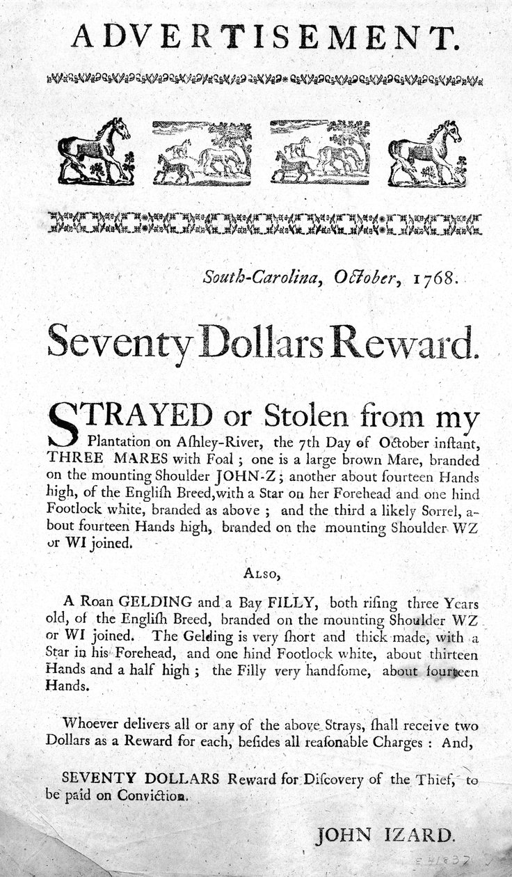 Dél-Karolinában, 1768-ban közzétett hirdetés, amely hetven dollár jutalmat kínál az eltévedt (vagy ellopott) lovak visszaszerzéséért és a tolvaj elfogásáért. alkotó: American School