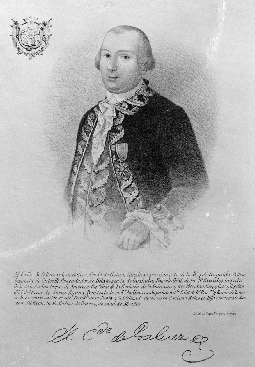 Bernardo de Galvez alkotó: American School