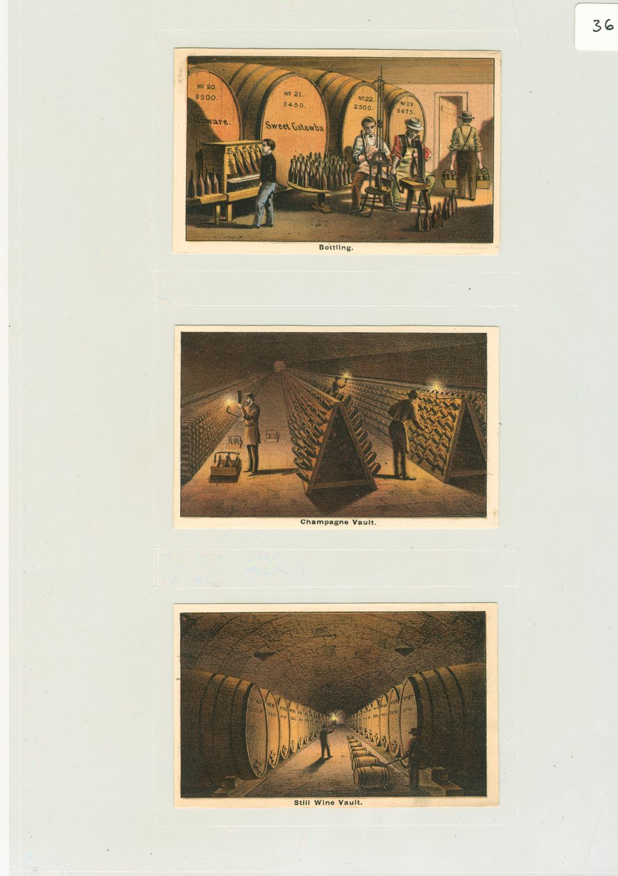 "Palacoló" és pezsgőtároló, Kereskedelmi kártyák egy pincészet számára, 1876 körül (színes litó) alkotó: American School