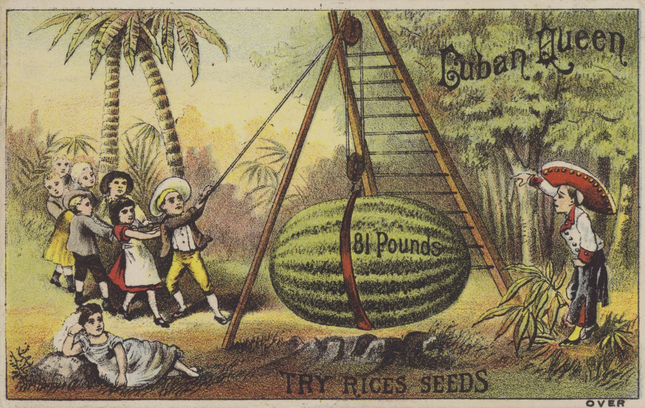 Gyerekek nevelnek egy hatalmas vízimadarat (chromolitho) alkotó: American School