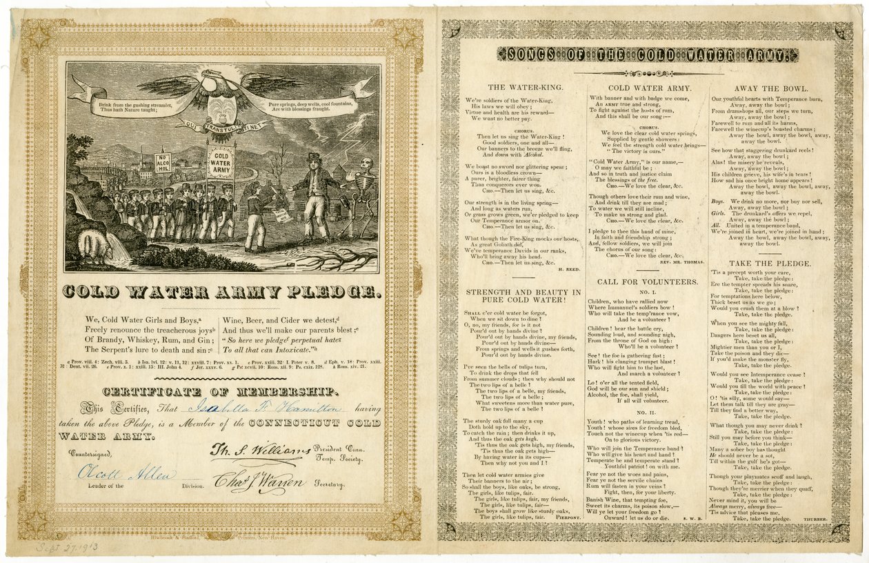 A hidegvízi hadsereg ígérete alkotó: American School