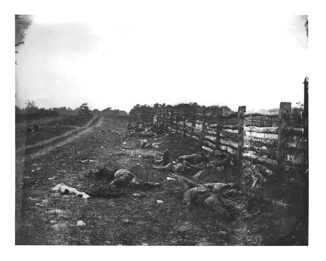 Konföderációs halottak a Hagerstown Pike nyugati oldalán, antietami csata, 1862. szeptember 19. alkotó: American School