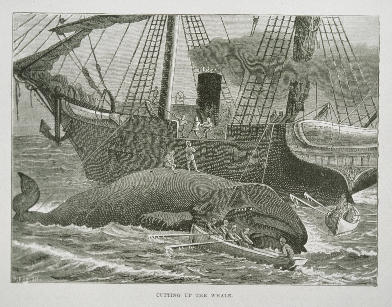 Cutting up the Whale, The American Whale Fishery, 1850 körül (metszet) alkotó: American School