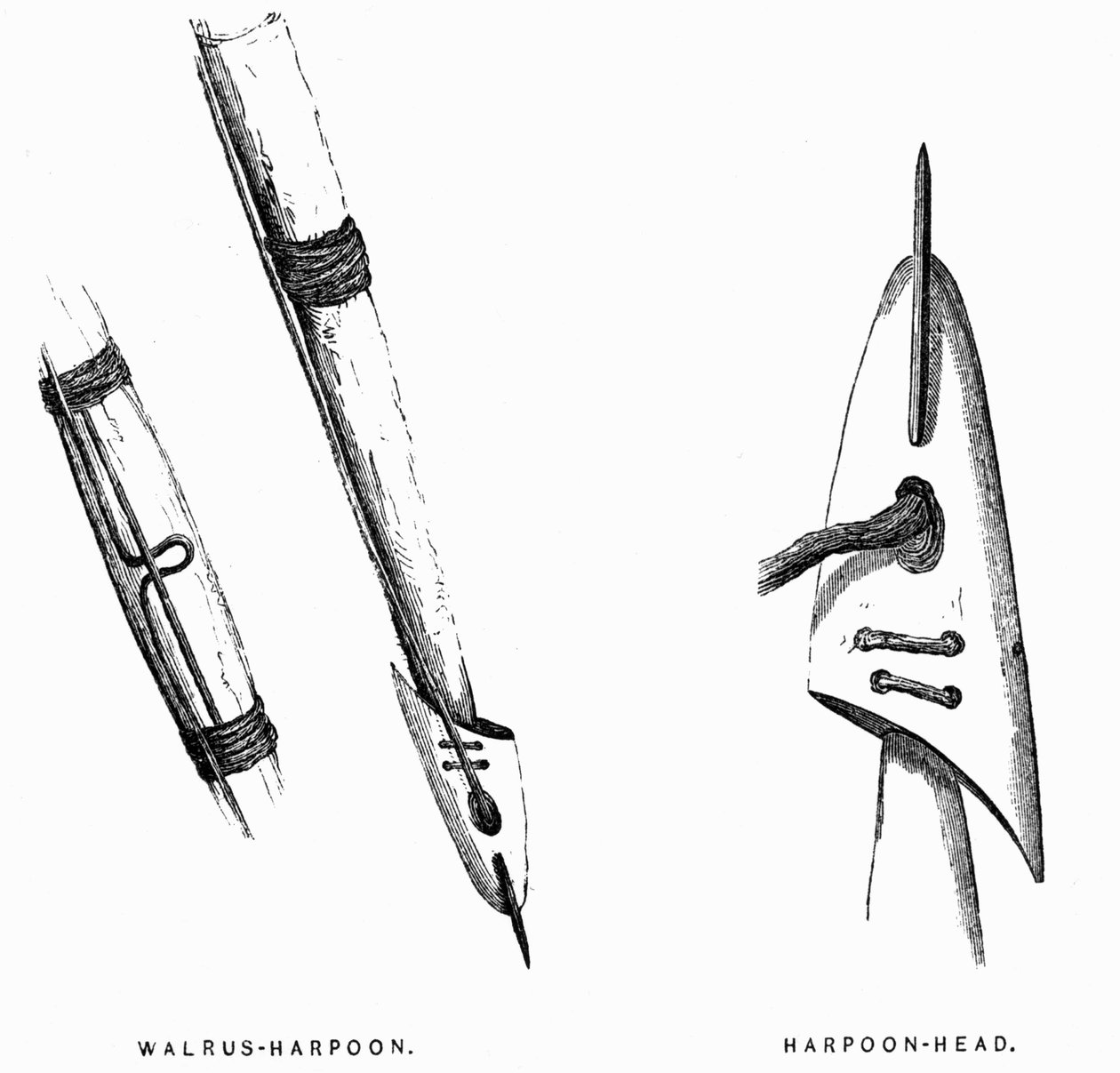 Eszkimó vadászeszközök: szigonyok – Elisha Kent Kane, Arctic Explorations in the Years 1853-1855, vol. 1. o. 412, Philadelphia alkotó: American School