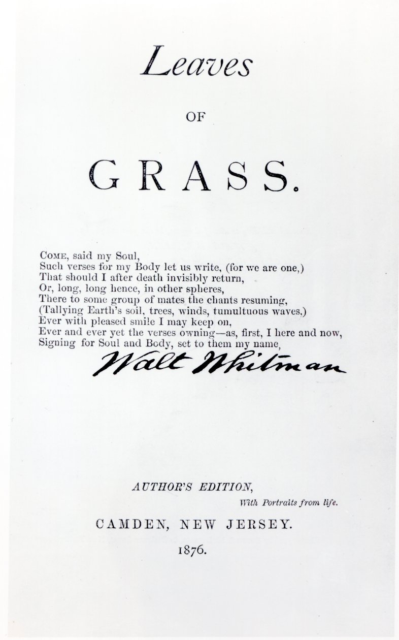 Walt Whitman (1819-92) frontispiece to Leaves of Grass, pub. 1876-ban alkotó: American School