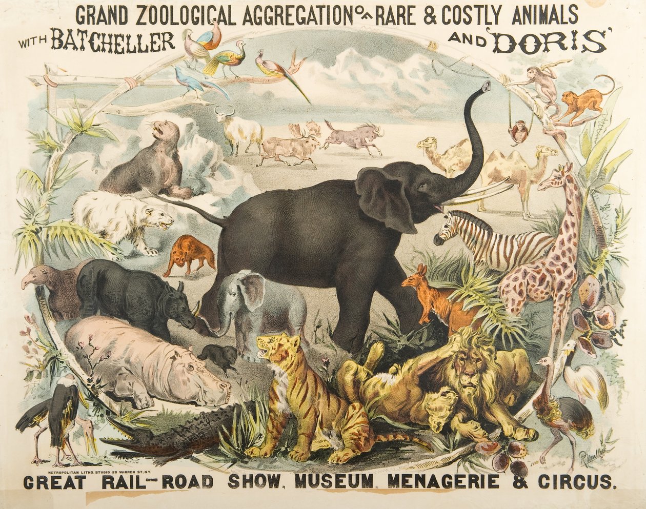 Ritka és költséges állatok nagy állattani csoportja Batchellerrel és Dorisszal (chromolitho) alkotó: American School