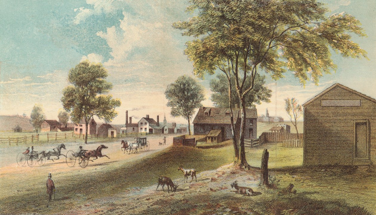 Harlem Lane, a Central Parktól Manhattanville-ig, 1865 alkotó: American School