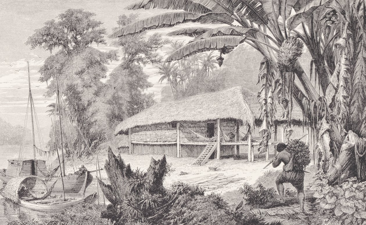Egy gazdag indiai gumigyűjtő háza, az Amazonas és Madeira folyóból, Franz Keller, 1874 alkotó: American School