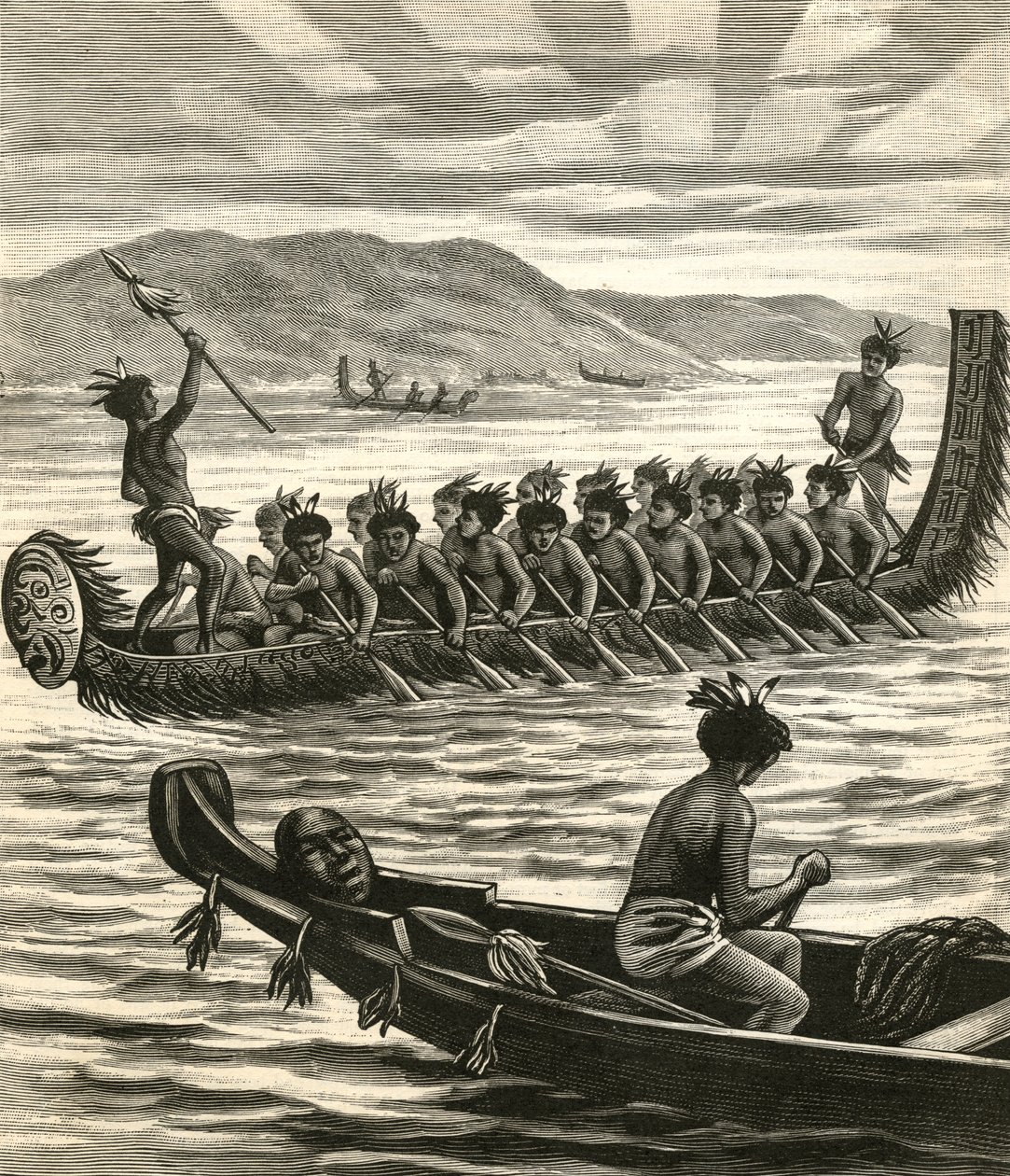 Illusztráció a maori harcosokról kenuban alkotó: American School