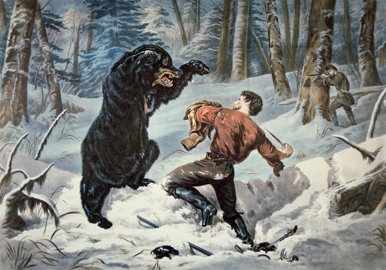 Jedediah Smith-t (1799-1831) megtámadta egy Grizzly medve, 1861 körül (színes litó) alkotó: American School