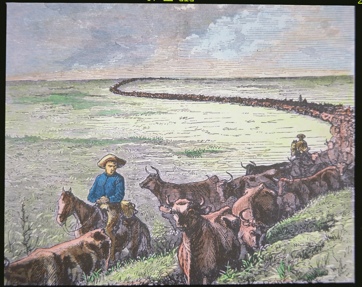 Longhorn marhahajtás Texasból Abilene-be, Kansas államba, 1870 körül (színes litho) alkotó: American School