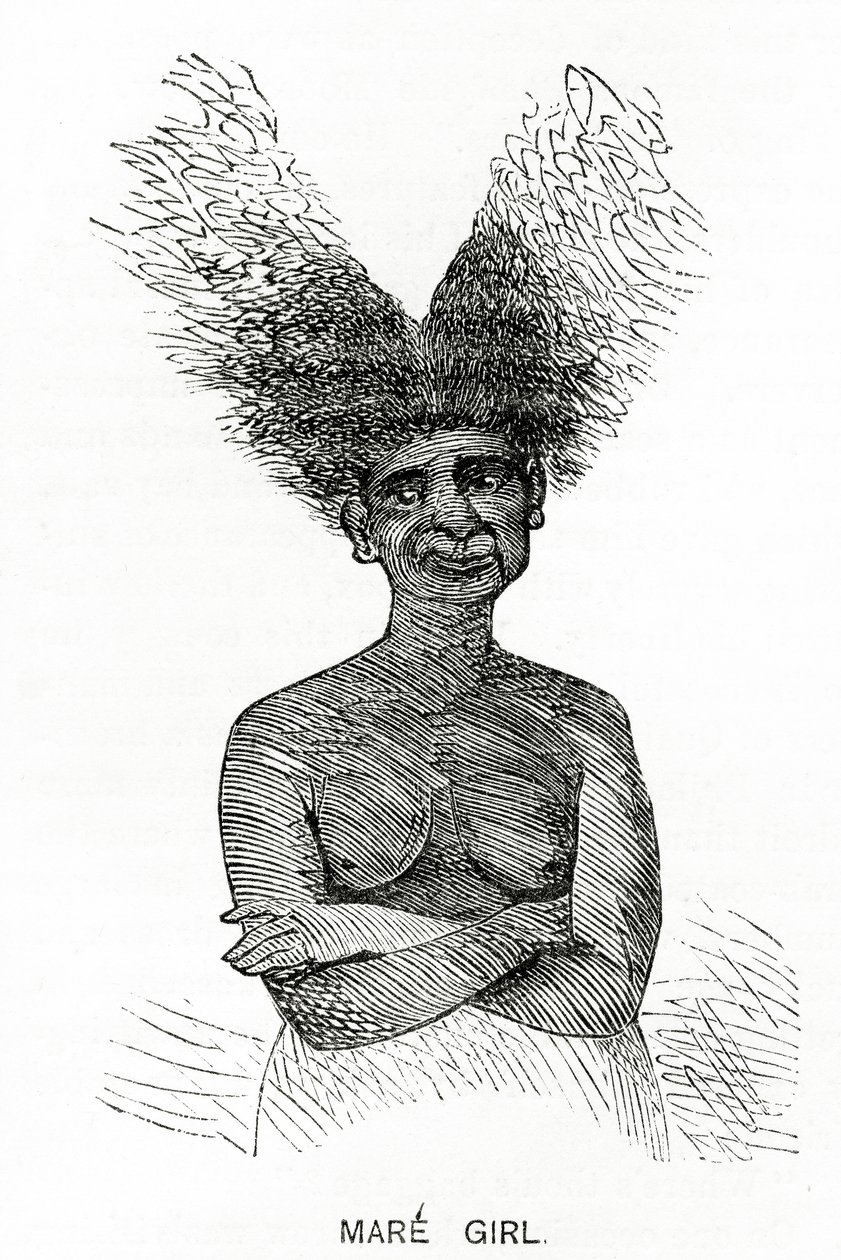 Mare Girl, illusztráció az Appletons Journalból, 1872. május 4 alkotó: American School