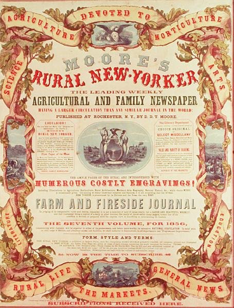 Moore vidéki New York-i alkotó: American School